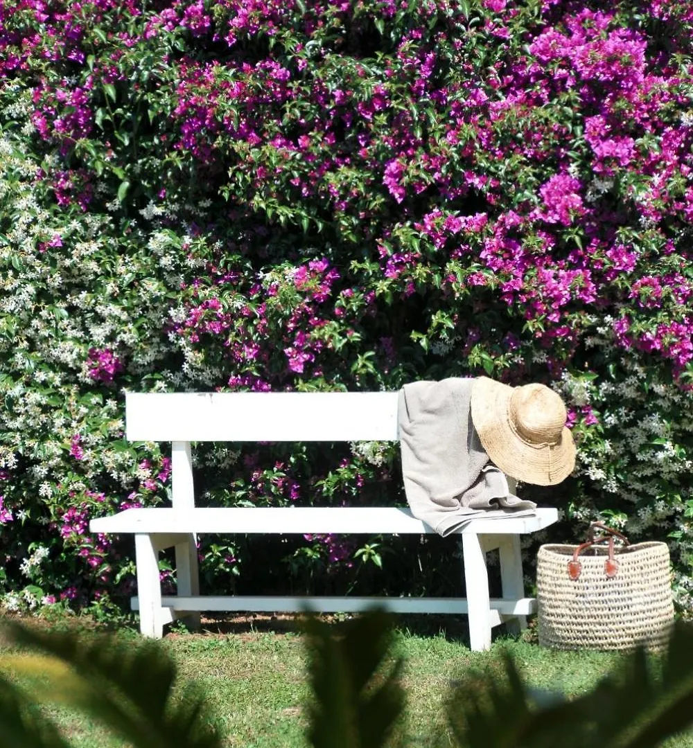 Casa Le Agavi Hotel Portoferraio 0*,